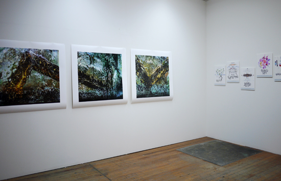 Mapping The Drowned World installation, Janet Tavener and Gosia Wlodarczak, October 2015.