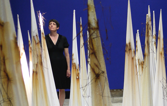 Tracey Clement, Post-Premonitionism 2, 2014-15, salt, rusty steel, cotton, dimensions variable, max height 1.8m.