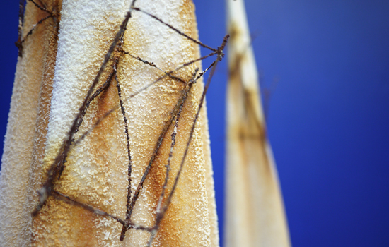 Tracey Clement, Post-Premonitionism 2, 2014-15, salt, rusty steel, cotton, dimensions variable, max height 1.8m.