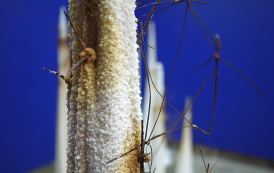 Tracey Clement, Post-Premonitionism 2, 2014-15, salt, rusty steel, cotton, dimensions variable, max height 1.8m.